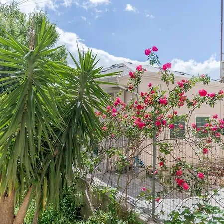 Lady Apartament Split