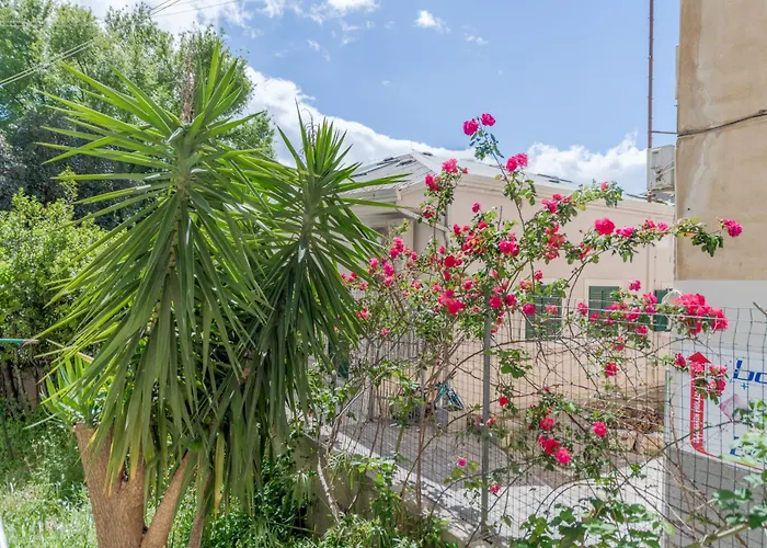 Lady, Cute In Quiet Area Lägenhet Split